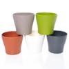 Magnetic Planter Pots Set of 5 with Mini Watering Can