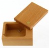 Lutèce Créations Small Lacquered Wooden Box for Hand Crank Musical