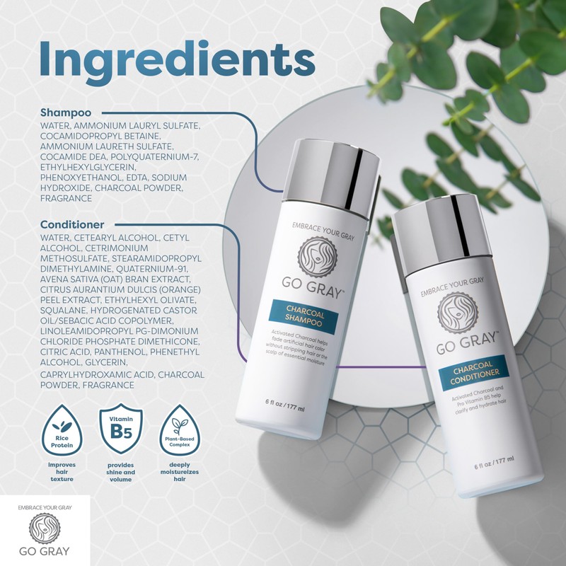 Go Gray Treatment System (Fade), Clarifying Duo Shampoo & Conditioner