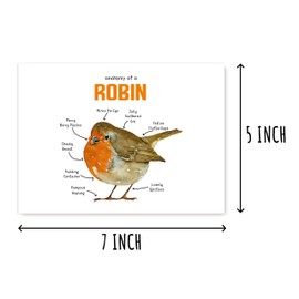 Robin Card - Anatomy Robin Card - Unique Bird Greeting Card - Robin Note Card - Animal Card - Robin Birthday Card