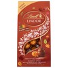 Lindt LINDOR Fall Pumpkin Spice Milk Chocolate Candy Truffles, 8.5