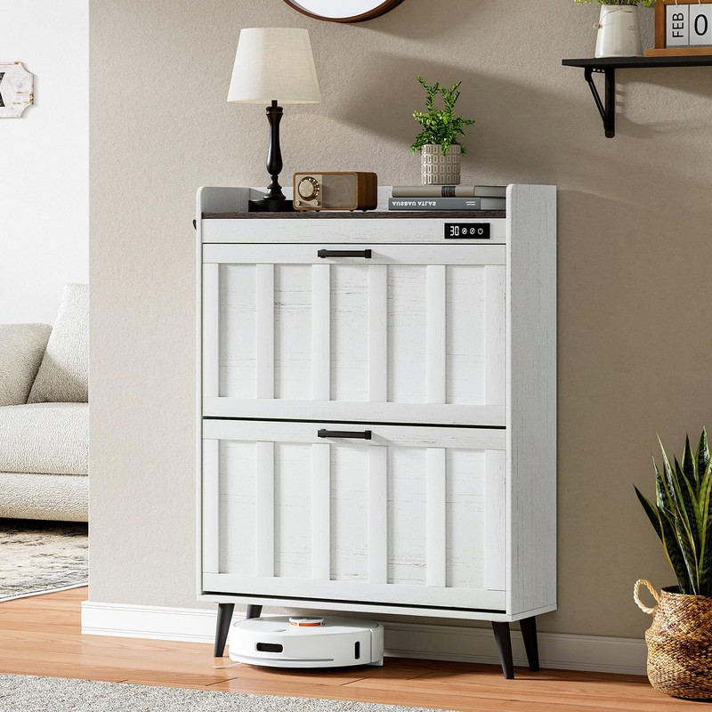 ChooChoo Shoe Storage Cabinet with 2 Flip Drawers, Deodorizing Shoe