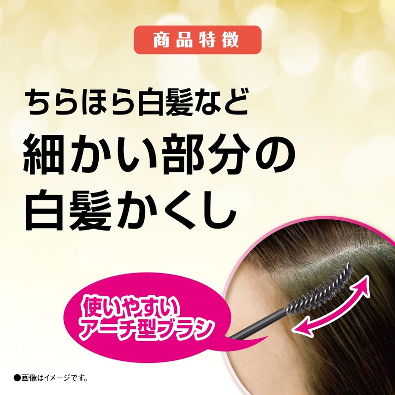Salon de Pro Color On Retouch Gray Hair Ex Natural