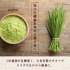 光生 青汁 乳酸菌 酵素 入り 国産 9週間分 189g (3g ×
