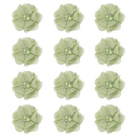 PATIKIL 2 Inch Chiffon Flowers, Pack of 12 Rhinestone Beads, Sewing Fabric Flowers, Artificial Appliques, Embellishments for Clothing, Wedding, DIY, Crafts, Headbands Decor, Green