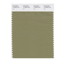 PANTONE Smart 17-0625X Color Swatch Card, Boa