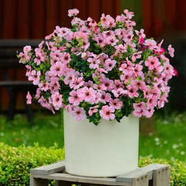 Cherica 12 Pcs Fake Outdoor Artificial Flowers for Outdoors Uv Resistant, Pink Plastic Flowers for Outdoors, Fake Plants Artificial Plants Outdoor Plastic Plants, Silk Faux Spring Flowers for Outside