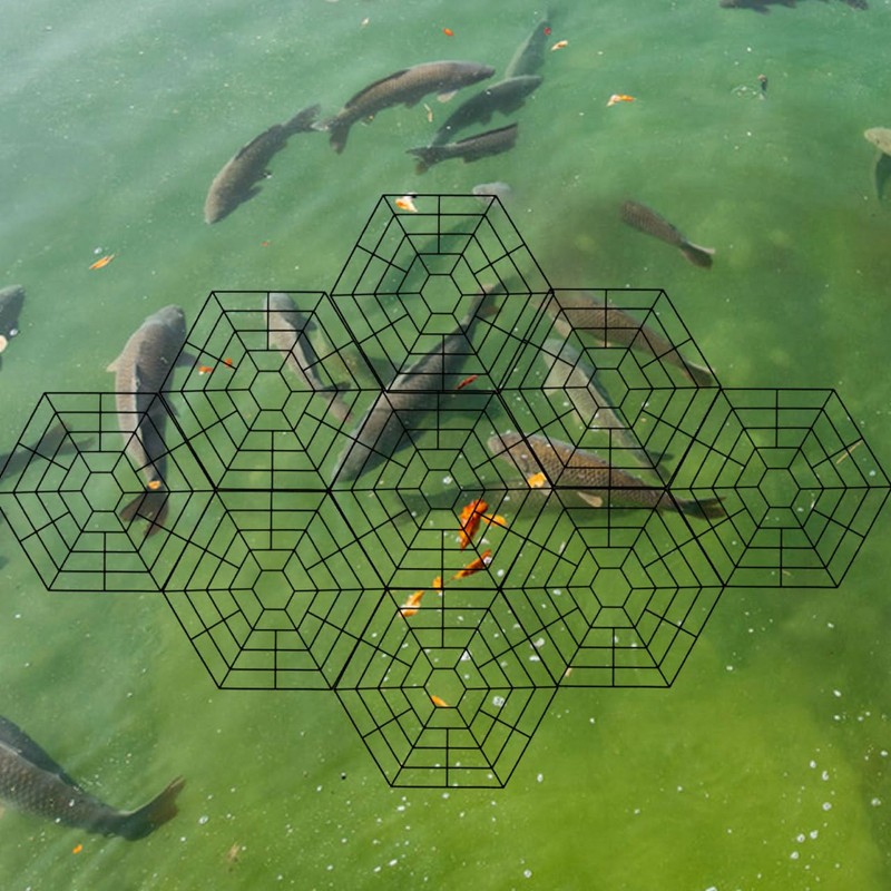 DOITOOL Six Angle Fish Protector Pond Nets 10.55X10.55 Inch Durable