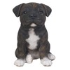Vivid Arts - Pet Pals Brindle Staffordshire Home or Garden