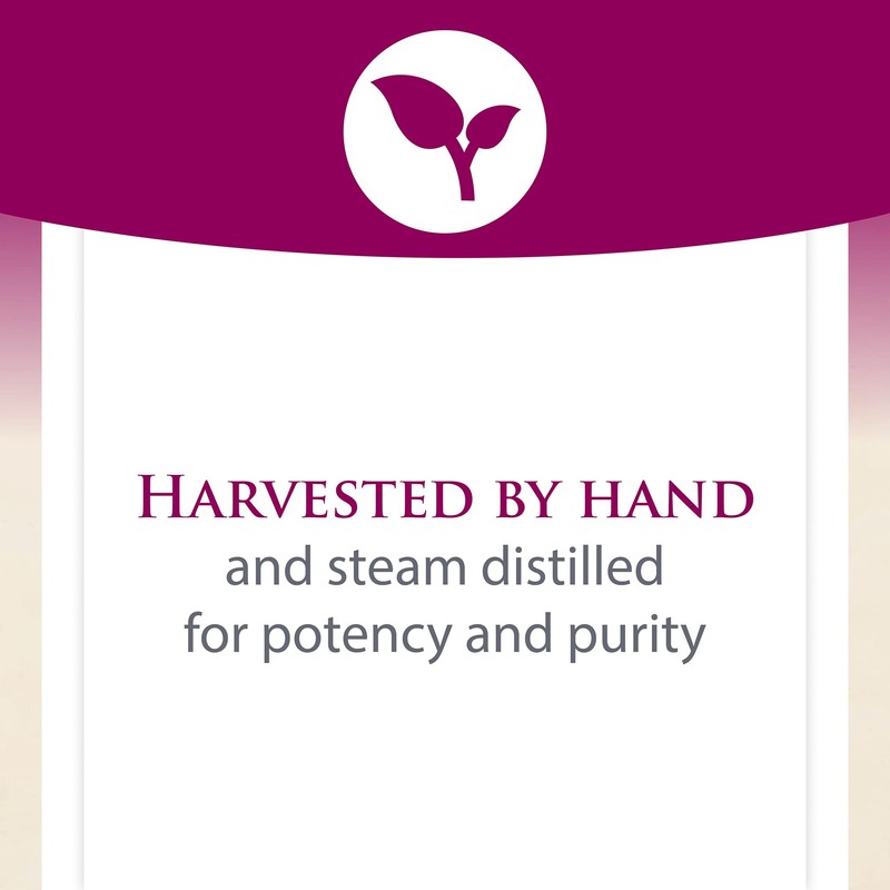 Natural Factors, Oil of Oregano 180 mg, Helps Maintain Good