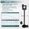 FLOWPAC Pedestal Sump Pump with Vertical Float Switch, Thermoplastic Pedestal,