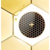 CNP Chaeonbak Propolis Ampoule in Cushion Foundation 15g + Refill