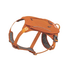 Kurgo Cascade Harness, Hiking Backpack for Dogs, Pet Harness with Backpack for Camping with a Dog (Orange, Large)