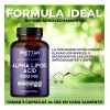Acido Alfa Lipoico Prettan Suplemento 500mg 90 Cápsulas Sin Sabor