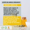250ml - Pure Organic Macerated Arnica Oil Arnica in Olive
