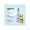 Shampoo Natural Anticaspa Descamación Árbol Verde Canela Y Menta 500ml