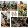 Hanzapor Gardening Gloves for Women 2 Pairs, Ladies Gardening Gloves