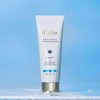 달바 화이트 트러플 모이스처 크림 60ml Dalba White Truffle Moisture Cream 60ml