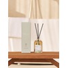 Temple Tree Diffuser 200ml / 템플 트리 디퓨저 200ml