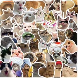 Funny Cat Meme Stickers, Cute Cat Stickers, 50PCS Kawaii Pet Stickers Pack for Adults, Waterproof Vinyl Stickers for Water Bottle, Laptop, Scrapbook, Luggage, Guitar Decals, Party Supplies (Cat A)