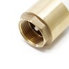 Brass Foot Valve 1" 25mm Check Valve NON Return with