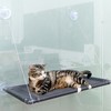 Cat Window Hammock Suction Cup Large Load Bearing Plastic PVC