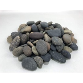 AA Plus Shop Mixed Button 1/2"-1" Mexican Beach Pebbles - 50lb