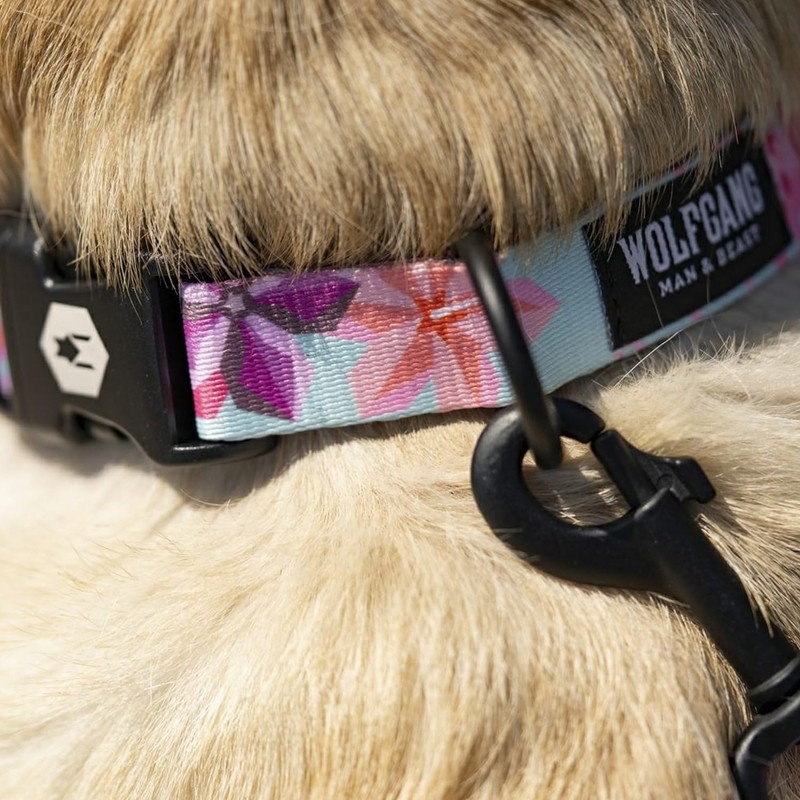 WOLFGANG/WOLFGANG WildWolf LEASH (S Size) Width 0.6 x Length 48.0