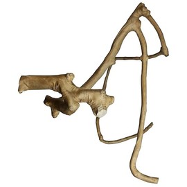 A&E Cage Co. Java Wood Multi Branch Perch - Large - 26 in. x 2.4 in.