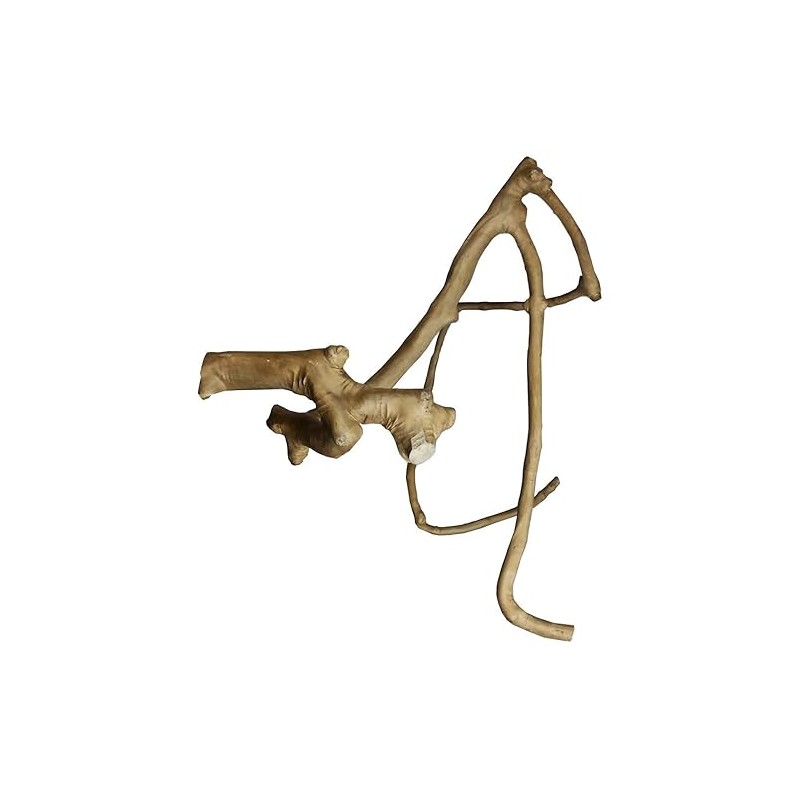 A&E Cage Co. Java Wood Multi Branch Perch - Large