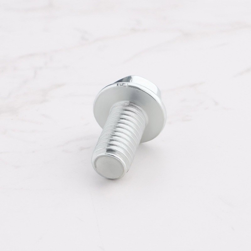 The Lord of the Tools 10PCS Recoil Pull Start Bolts