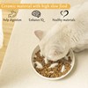 Anti-Slinging Bowl Cat Bowl Pack of 2 Anti Sling Bowl