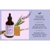 Handcraft Blends Juego De Aceite Esencial De Lavanda Y Eucalipto