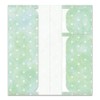 Beverly Multi Holder Antibacterial Mask Case Ticket Case Mint Dot