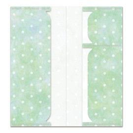 Beverly Multi Holder Antibacterial Mask Case Ticket Case Mint Dot CF-093