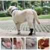 Dog Paw Wound Recovery Boot, Waterproof Bootie for Injured Paw,