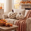 Leinuosen 2 Pcs Fall Pumpkin Pillows Brown 3D Pumpkin Shaped