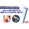 L APIS: Lapis One-Tuft Brush Lepton with Liperio Mini Tube,