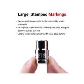 TEKTON 3/8 Inch Drive External Star Socket Set with Rail, 12-Piece (E4 - E20) | SHD91117