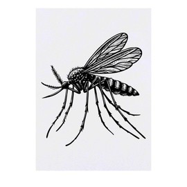 'Mosquito Resting' Temporary Tattoo - Water Resistant, Skin-Safe, Non-Toxic Transfer (TO00077633)