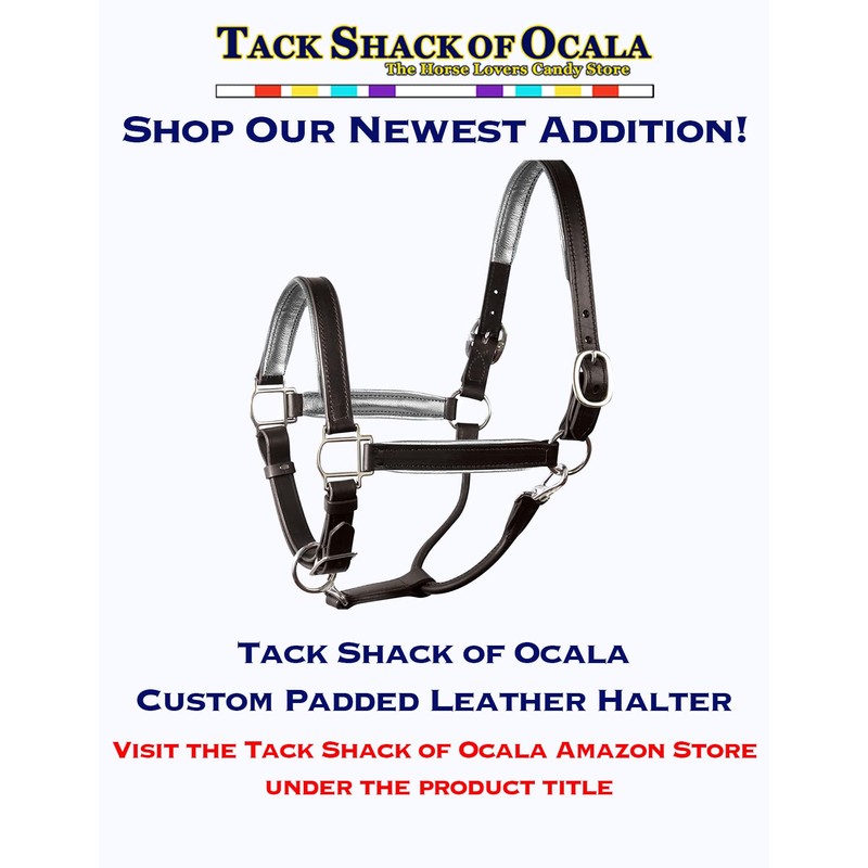 Tack Shack of Ocala Leather Halter with Customized Engraved Name