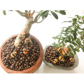 Wooden idea Decorate Mini Indoor Outdoor Living Room Office Completed Draw by Hand on River Rocks (+ BEE)