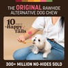 Earth Animal No-Hide Stix Salmon Recipe Natural Rawhide Alternative Dog