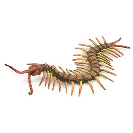 CollectA, Centipede, Collectable Animal Figurine Roleplay Toy