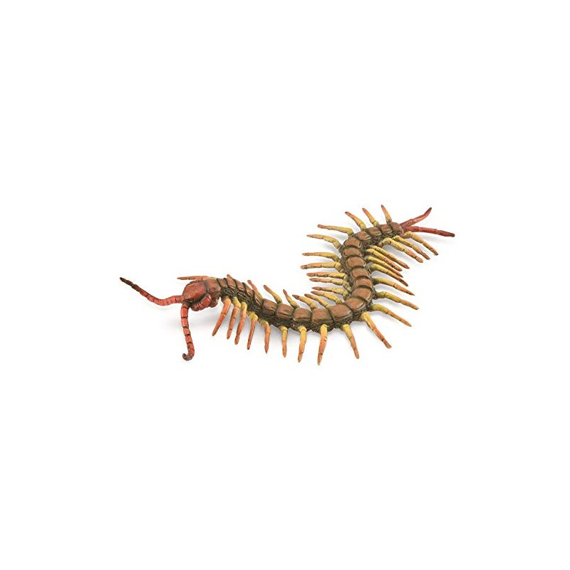 CollectA, Centipede, Collectable Animal Figurine Roleplay Toy