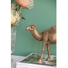 A&B Home Camel Statue Accent, Coppery Finish