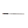 Daler Rowney Size 8 Graduate Flat Shader Brush