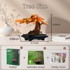 IFAYMOC Bonsai Tree Building Sets Toy, Four Seasons Bonsai Tree