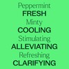 Plant Therapy Organic Peppermint Essential Oil 100% Pure, Pre-Diluted Roll-On,