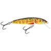 Salmo Floating Minnow Trout 6cm 4g (qmw017)